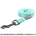 Pawtitas 6 FT Solid Color Comfortable Handle Dog Training Leash - Medium/Large, 6 ft Teal