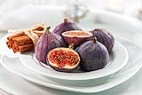 Little Miss Figgy Edible Fig Plant - Ficus carica - Sweet/Dwarf - 4