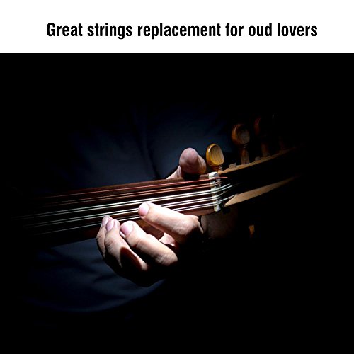 Oud Strings, Nylon Silver Plated Copper Alloy Clear Normal Tension Oud Strings Set Replacement Accessory (10 strings)