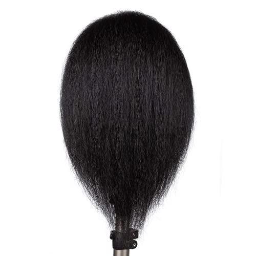 Mannequin Head With Human Hair By Tistaya Manikin Head With Human Training Head Cosmetology Manikin Practice Head with Clamp Stand