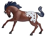 Spirit Riding Free 7