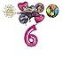 Mayflower Products Aladdin 6th Birthday Party Supplies Princess Jasmine Balloon Bouquet Decorations - Pink Number 6