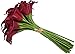 FRP Flowers 20 PCS Real Touch Calla Lily Latex Flowers for Artificial Floral Arrangements, Bridal Bouquets, and Home Decor (Burgundy Wine)