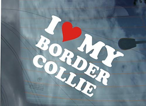 slipstreamsigns I LOVE MY BORDER COLLIE vinyl car sticker window funny pet dog bumper decal graphics stickers JDM