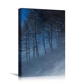 signwin Canvas Wall Art Foggy Trees Cool Dramatic...