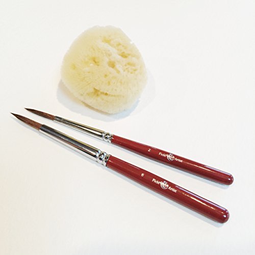 Field-Artist-Pro-12HP-Complete-TRAVEL-WATERCOLOR-SET-includes-12-Brilliant-Half-Pan-Colors-2-Custom-Brushes-a-Genuine-Sea-Sponge-a-Classic-Metal-Field-Box-all-fits-in-your-Pocket