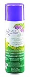 Floracraft 18 oz Silk'n Splendor Aerosol Silk Plant Treatment
