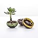 Brajttt Succulent Planters Pots Ceramic，Ball Shape Drainage Pots，Mixed Color Round Ceramic Planter, Decorative Small Flower Plant Pot，Set of 15