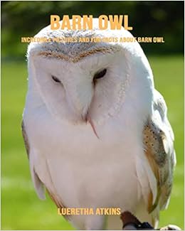Barn Owl Incredible Pictures And Fun Facts About Barn Owl