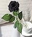 famibay 10pcs Artificial Flowers Rose Bouquets Vintage Fake Silk Rose Flowers with Leaf and Plastic Stem for Home Wedding Party Mother’s Day Garden Hotel Decoration Black
