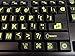 Multimedia Keyboard Stickers with Fluorescent Inlays Plus USB Light. Extra Large Symbols. Inlays (Not Printed). Will Not Wear or Fade. U.S. English Laptop & PC