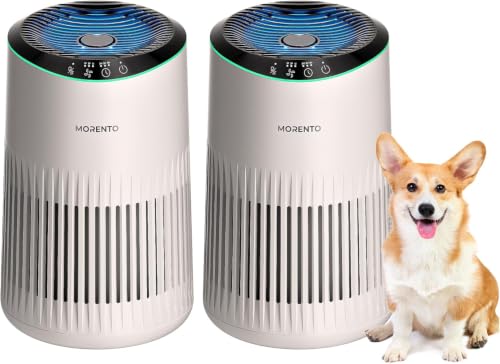 Air Purifiers for Bedroom Home for Smoke Pet