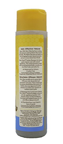 2 Burts+Bees+Tearless+Shampoo+Buttermilk
