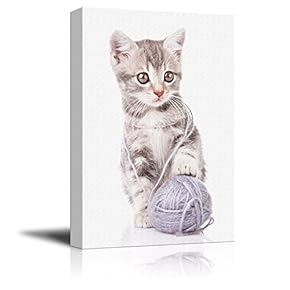 Cute Cat Playing with a Wool Ball