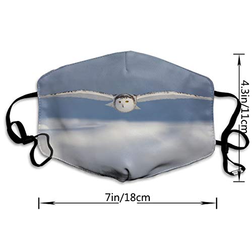 Sam-Uncle Anti Dust Face Mouth Cover Mask Snowy Owl Anti Pollution Breath Healthy Mask - Thumbnail 2