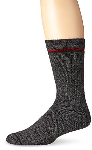 Sockwell Men's Rover Socks