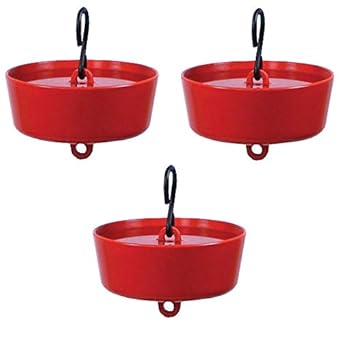 Amazon Com Stokes Select More Birds Ant Guard For Hummingbird