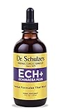Dr. Schulze's Echinacea Plus | Echinacea Root and Seed | All Organic Extract | Gluten-Free & Non-GMO for Immune System Support | 4 oz.