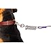 Favorite Tie Out Cable for Dogs, 30-feet, 3 Colors