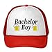 Bachelor Party Groom Hat--Bachelor Party Gifts Parks and Rec Hat-- Bachelor Party Accessories
