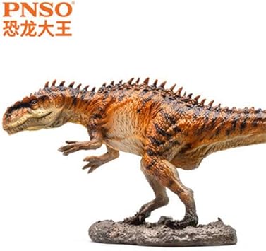 cool gifts for 13 year old girl