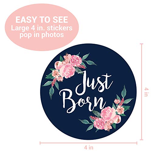 4 Monthly+Stickers+Floral+Milestone+Newborn