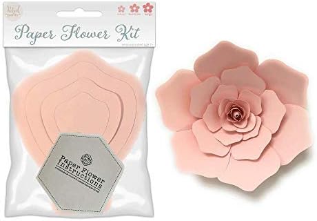 Paper Flower Template Kit - DIY Wall Decorations - Instructions Included - 8 Piece Set