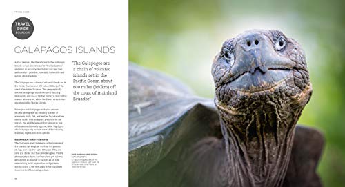 Wildlife Photography: An expert guide - Thumbnail 3
