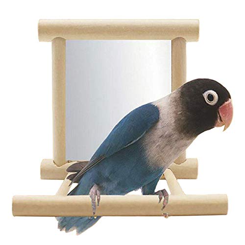 Bird Mirror,Cockatoo Playground,Parrot Ladder,Parakeet Sun Bath,Perch Platform Stand,Bird Perches for Parrots Stand Wooden Play Toys for Budgies,Cockatiel,Conure,Finch Lovebird by BLSMU - Thumbnail 5