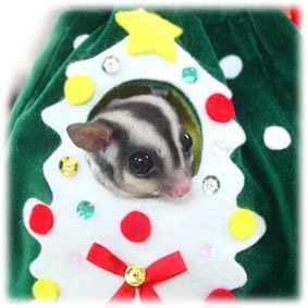 Amazon モモンガ クリスマス オーナメント寝袋 Sbs 飼育ケージ内装 通販