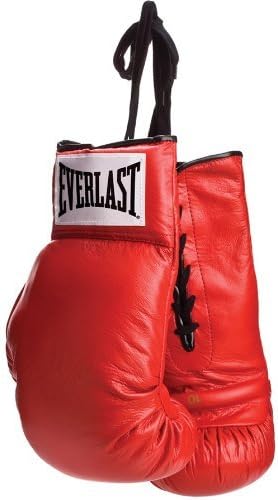 everlast leather pro 3 boxing gloves