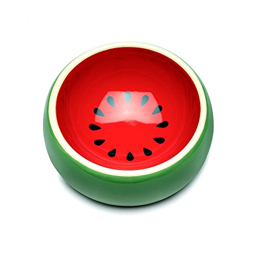 1 Mkono+Ceramic+Hamster+Chinchilla+Watermelon