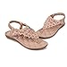 Fullkang Lady Elegant Bohemia Sweet Flower Beaded Sandals Clip Toe Summer Beach Sandals (US 5.5, Khaki)