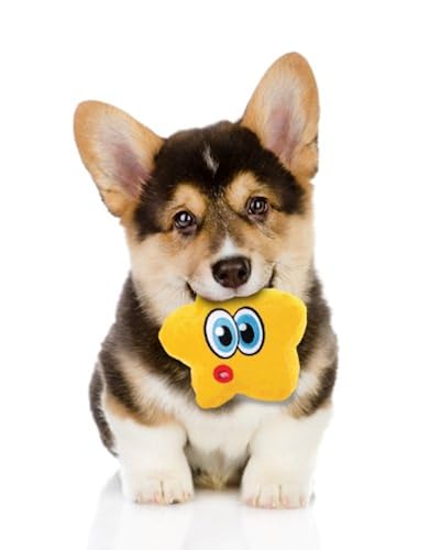 Hear Doggy Small Whale Ultrasonic Silent Squeaker Dog Toy in Oman