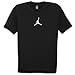 Jordan Mens Ss Drifit Tee
