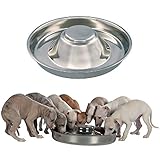 King International Stainless Steel Dog Bowl 1 Puppy Litter Food Feeding Weaning Silver Stainless Dog Bowl Dish Large Dogs, Pets Feeder Bowl and Water Bowl Perfect Choice