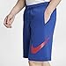Nike Men's Sportwear Club Shorts