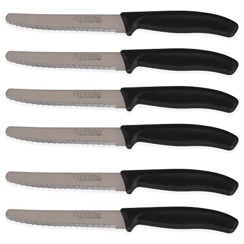 189696 Set 6Pzs Cuchillos Mesa Sierra 11Cm Basic