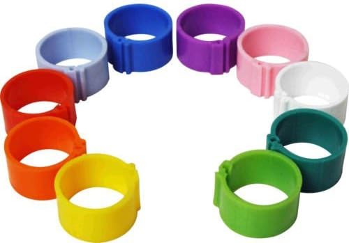 Dragon Poultry 10 x 12 mm Clip On Leg Rings for Chickens, Ducks, Hens, Poultry, Bantams (Mixed)
