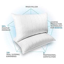 NEIPOTA Bed Pillows for Sleeping Queen Size Set of
