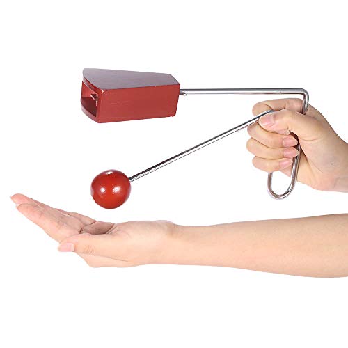 Raitron Wooden Musical Beat Vibraslap Percussion Instrument Children Kids Baby Educational Musical Toys - Quarkscm