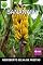 Livro Bananas