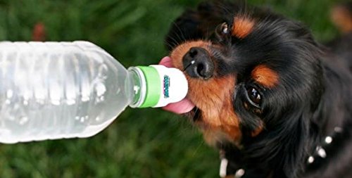 DogSport Two-Pack Water Bottle Cap for Dogs (Dog Sport)
