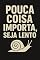 Livro Pouca Coisa Importa, Seja Lento