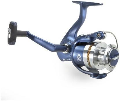 shakespeare tidewater reel