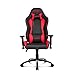 AKRacing Nitro Series Premium Gaming Chair with High ...