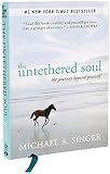 The Untethered Soul: The Journey Beyond Yourself