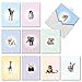 The Best Card Company Assorted Wildlife Watercolor Blank Animal Greeting Card Box Set - 10 Unique Notecards Designs + Envelopes, for Thank You, Invitations, More - Zoo Babies M6726OCB