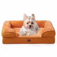 EHEYCIGA Orthopedic Dog Bed for Small Dogs, Waterproof Memory Foam Small Dog Beds with Sides, Non-Slip Bottom and Egg-Crate Foam Medium Pet Couch Bed with Washable Removable Cover,Pumpkin Orange
