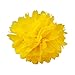 Floral Reef Variety Set of 16 (Assorted Honey Bee Yellow Color Pack) consisting of 8